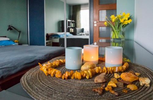 Brzezno Apartment | Apartamenty Żurawi Brzeg