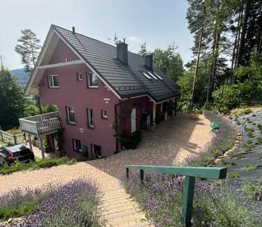 Wisla Apartment | Apartamenty Lavender Hill