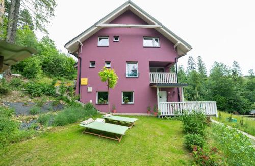 Wisla Apartment | Apartamenty Lavender Hill