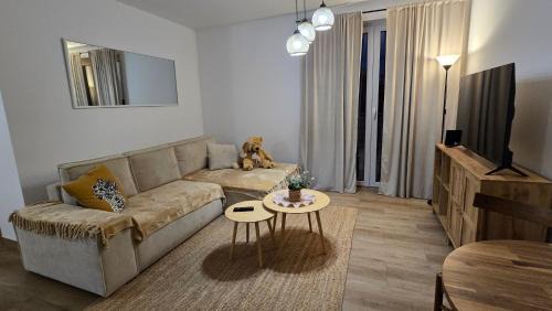 Bielawa Apartment | Apartamenty Paderewski II