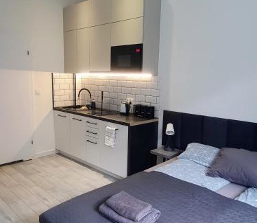 Srodmiescie Apartment | Apartamenty u Portera w Centrum