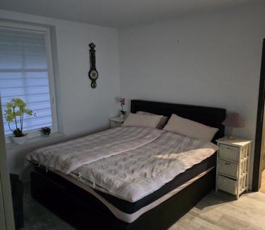 Duszniki Zdroj Apartment | Apartamenty U Władzia