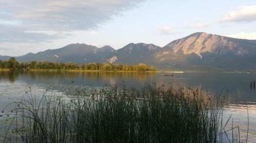 Kochel am See Apartment | Aparthotel Alpenpark