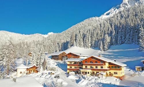 Ramsau am Dachstein Apartment | Aparthotel Ramsau
