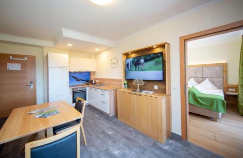 Ramsau am Dachstein Apartment | Aparthotel Ramsau