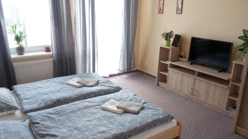 Frantiskovy Lazne Apartment | Apartmá Anglická