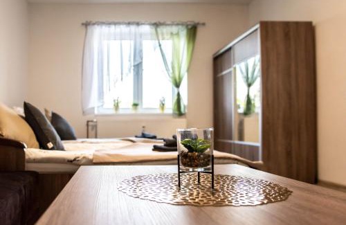 Moravian Silesian Apartment | Apartmá Vrbice