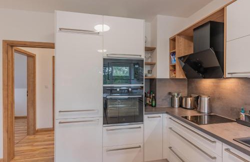 Cerna V Posumavi Apartment | Apartmán Černá v Pošumaví