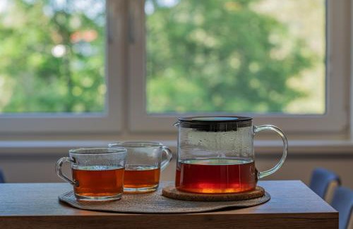 Cerna V Posumavi Apartment | Apartmán Černá v Pošumaví