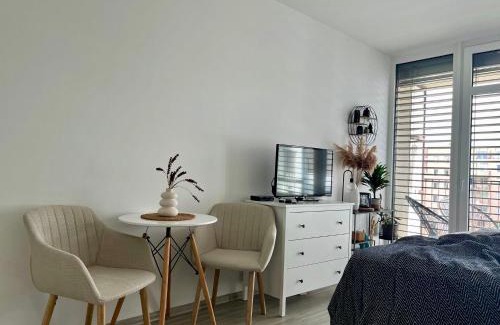 Olomouc Apartment | Apartmán Šantovka