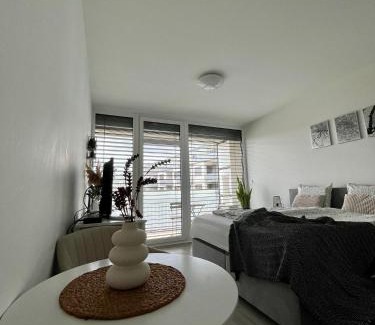 Olomouc Apartment | Apartmán Šantovka