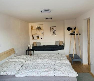 Frysava pod Zakovou horou Apartment | Apartmán 101