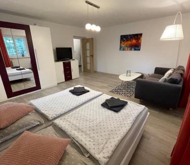 Tatranska Lomnica Apartment | Apartmán AkoDoma