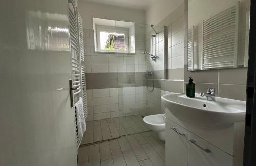 Nove Mesto na Morave House | Apartmán Aneta Nové Město na Moravě