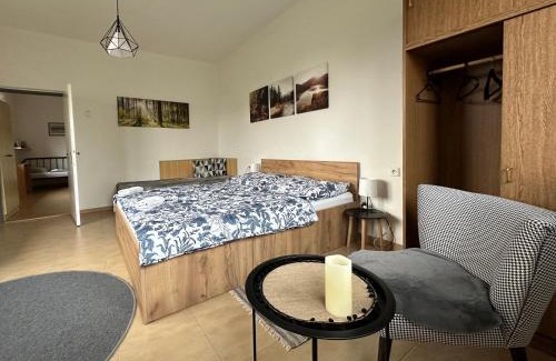 Nove Mesto na Morave House | Apartmán Aneta Nové Město na Moravě