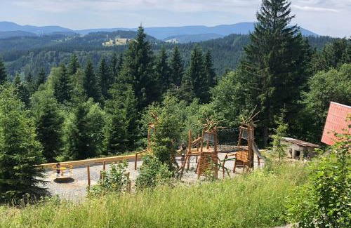 Stare Hamry Apartment | Apartmán Bílý Kříž
