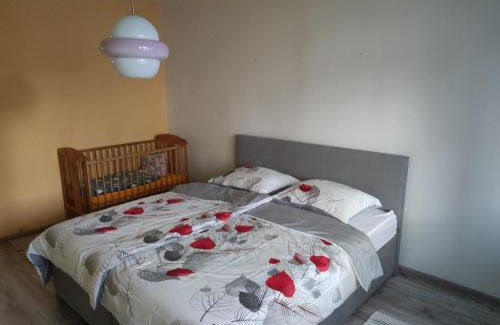 Zvolen Apartment | Apartmán City