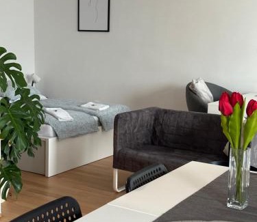 Jihlava Apartment | Apartmán ERUDITO XXVI centrum Jihlava