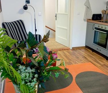 Nove Mesto na Morave Apartment | Apartmán Kafíno
