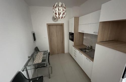Piestany Apartment | Apartmán Lodenica