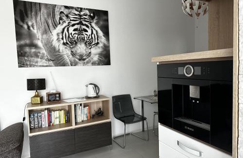 Piestany Apartment | Apartmán Lodenica