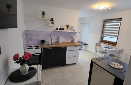 Karlov House | Apartmán na Karlíčku