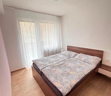 Vsemina Apartment | Apartmán na kraji lesa Všemina