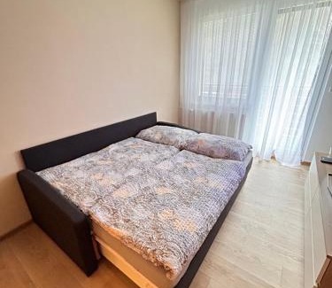 Vsemina Apartment | Apartmán na kraji lesa Všemina