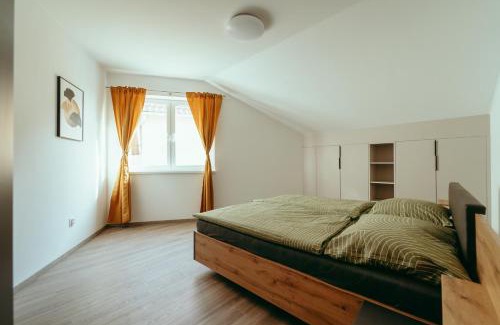 Sastin-Straze Apartment | Apartmán Nikola