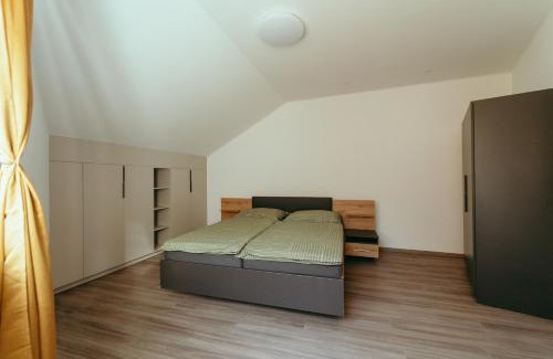Sastin-Straze Apartment | Apartmán Nikola