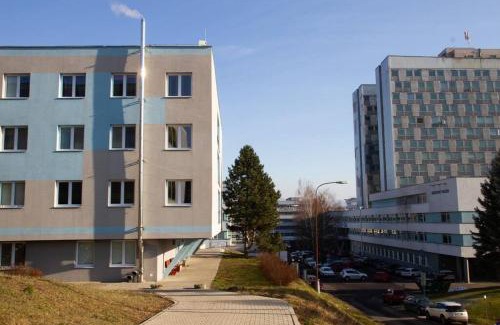 Podlavice Apartment | Apartmán Roosevelt