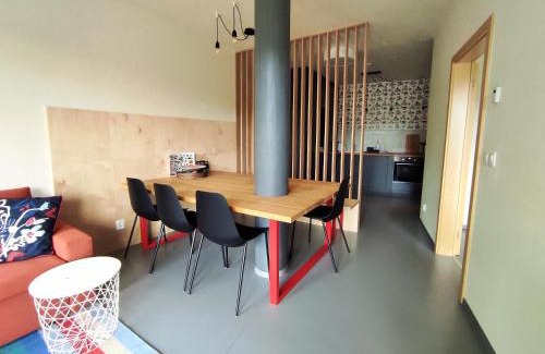 Ricky v Orlickych horach Apartment | Apartmán SVAN B2