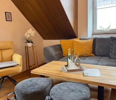 Bozi Dar Apartment | Apartmán U Tří smrků