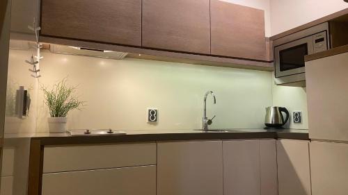 Dolni Lomna Apartment | Apartmán v Beskydech