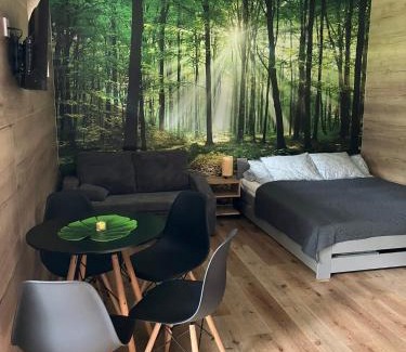 Vrbno pod Pradedem Apartment | Apartmán Vrbno pod Pradědem