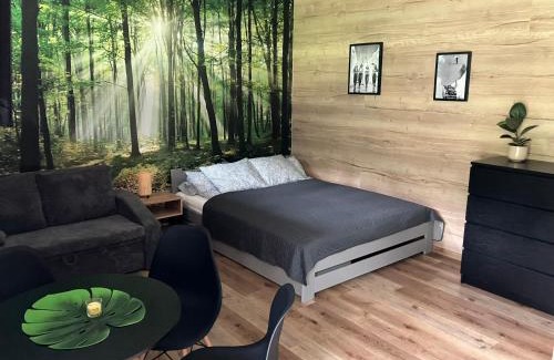 Vrbno pod Pradedem Apartment | Apartmán Vrbno pod Pradědem