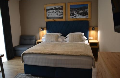 Harrachov Apartment | Apartmány Špacír