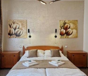 Trencin House | Apartmány Aurelius