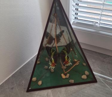 Ceska Lipa Apartment | Apartmány HAVLÍČKOVA 423