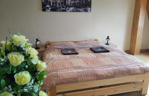 Ledec nad Sazavou Apartment | Apartmány Ledeč