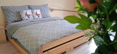 Ledec nad Sazavou Apartment | Apartmány Ledeč
