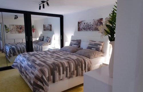 Celadna Apartment | Apartmány LIZARD