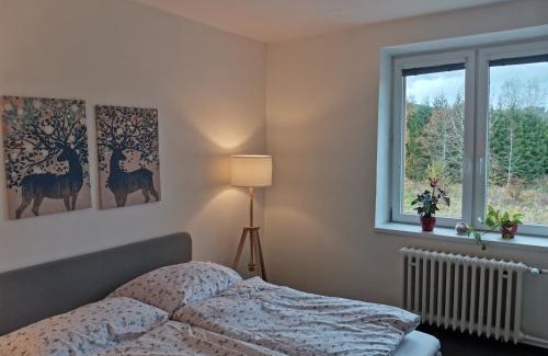 Nova Pec Apartment | Apartmány Pěkná 10
