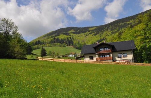 Pstruzi Apartment | Apartmány u Honzy