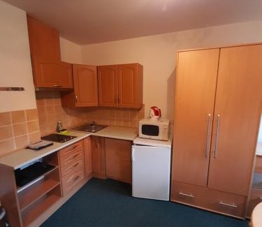 Rokytnice nad Jizerou Apartment | Apartmány u Gothaje