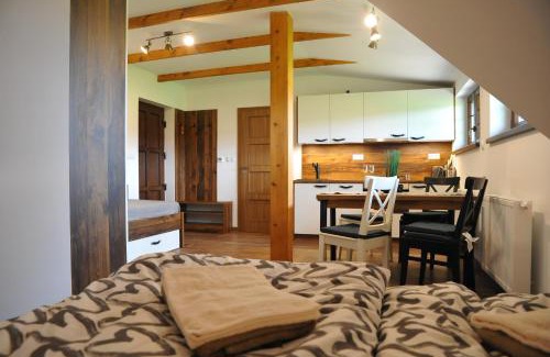 Orlicke Zahori Apartment | Apartmány U Fibichů