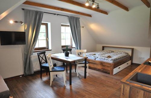 Orlicke Zahori Apartment | Apartmány U Fibichů