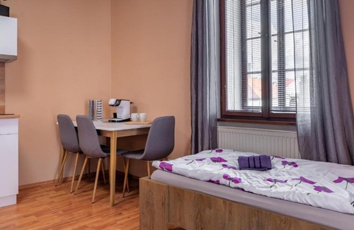 Plzen Apartment | Apartmány V Mlýnské strouze