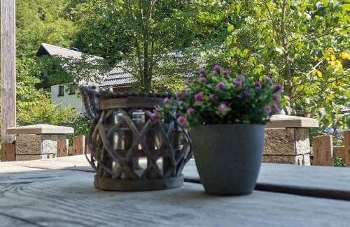 Srednja Vas v Bohinju Apartment | Apartma Bohinj
