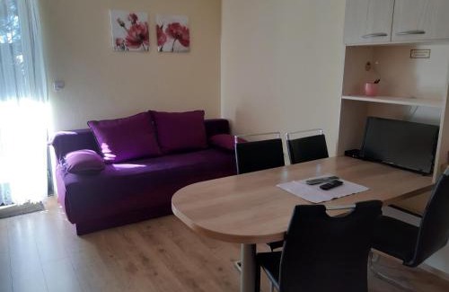 Zrece Apartment | Apartma Rogla Gaber 110